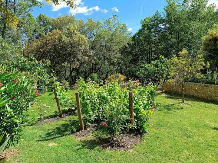 L'Autre Perle, Balneo En Supplement, Le Clos Des Perles Tourtour Luaran gambar
